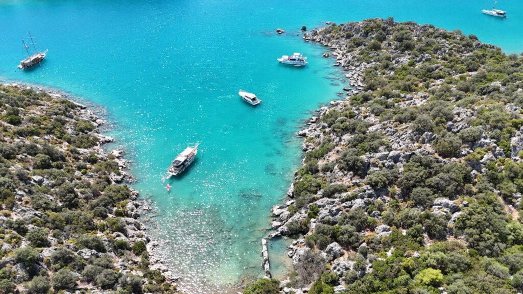 WhatsApp Image 2025-10-24 at 21.47.55