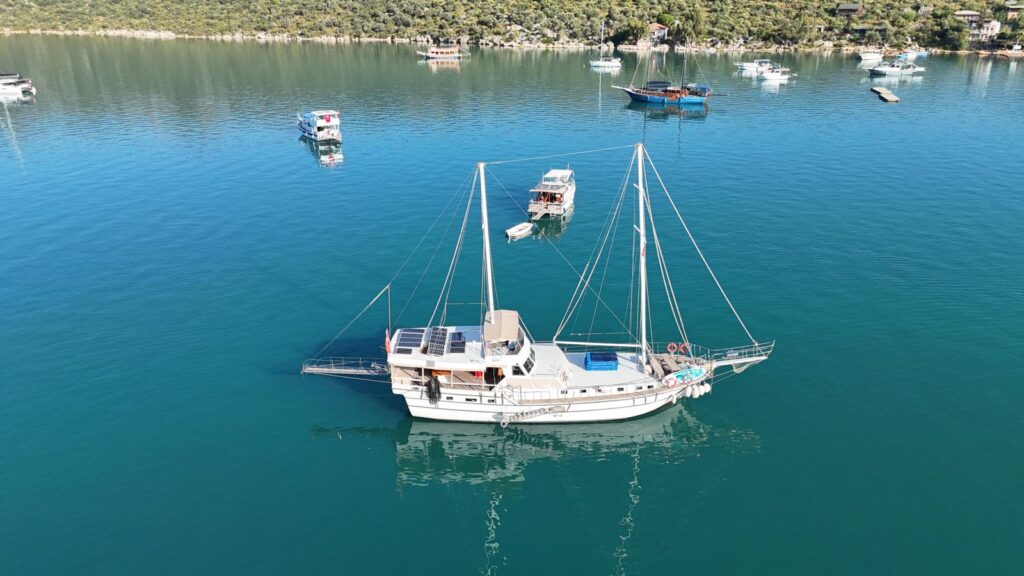 WhatsApp Image 2025-10-24 at 21.49.09