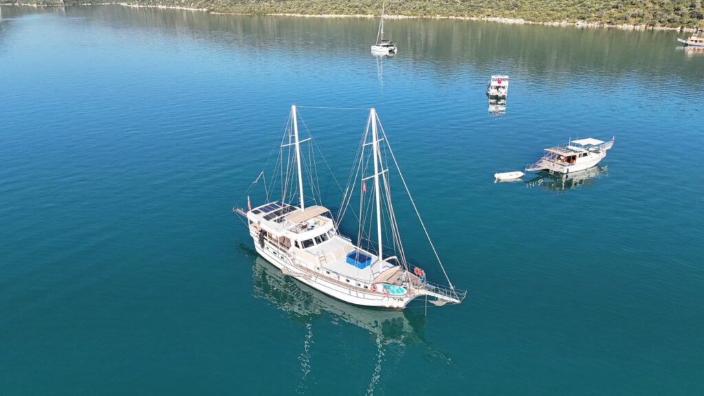 WhatsApp Image 21025-10-24 at 21.49.08